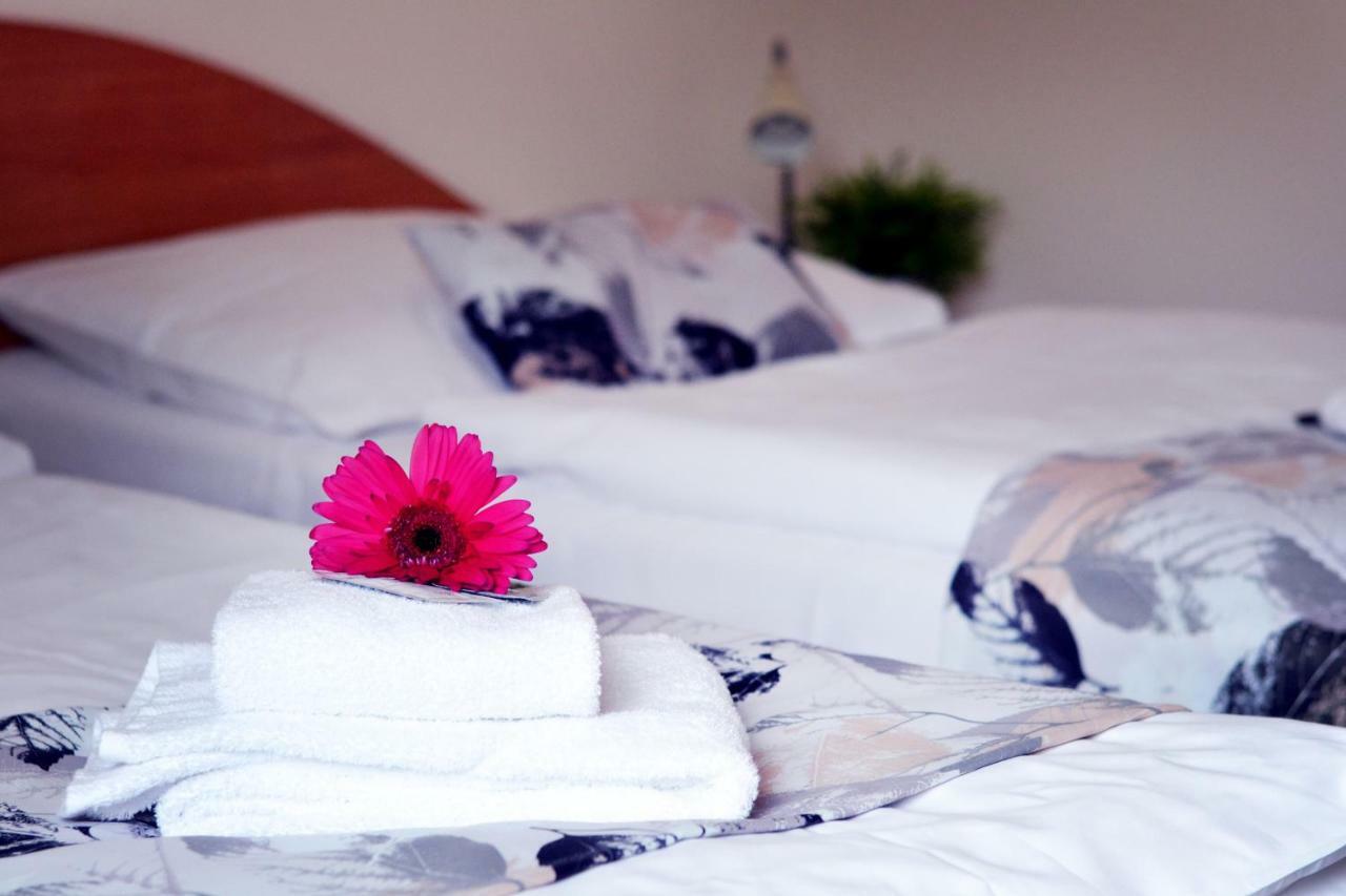Hotel S-Centrum Бенешов Екстериор снимка